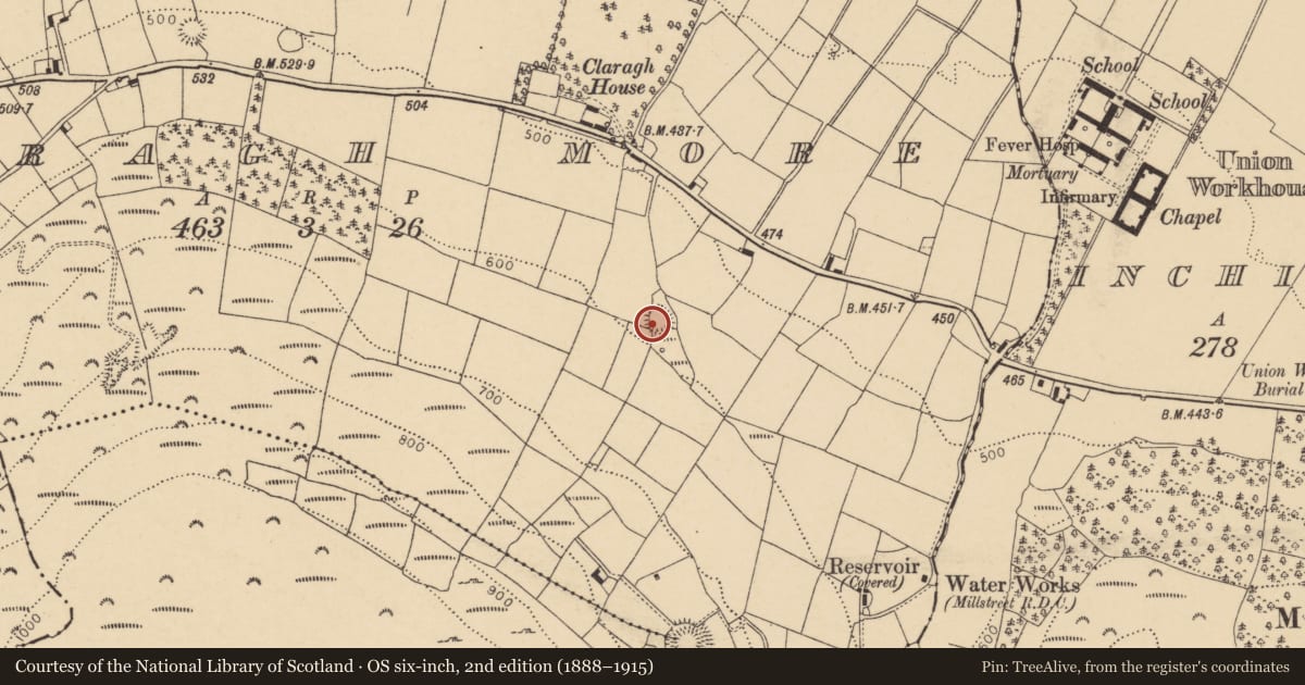 Ordnance Survey six-inch map, 2nd edition (1888–1915) covering the location of Ringfort - rath, Claragh More, County Cork, with a pin at the register's coordinates