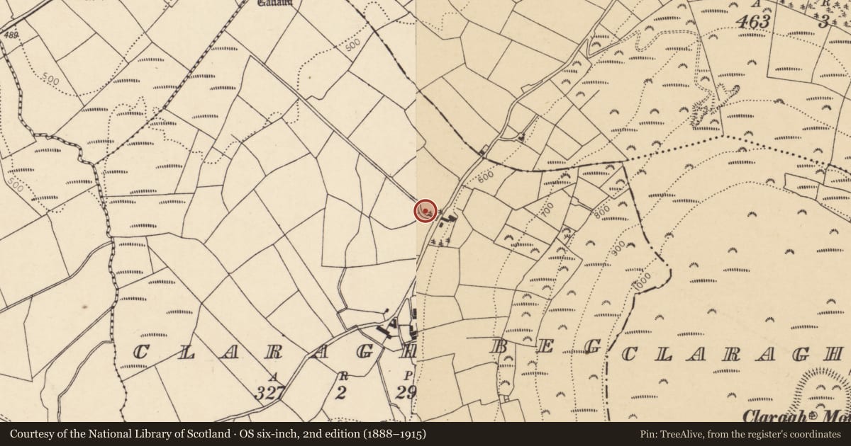 Ordnance Survey six-inch map, 2nd edition (1888–1915) covering the location of Ringfort - rath, Claragh Beg, County Cork, with a pin at the register's coordinates