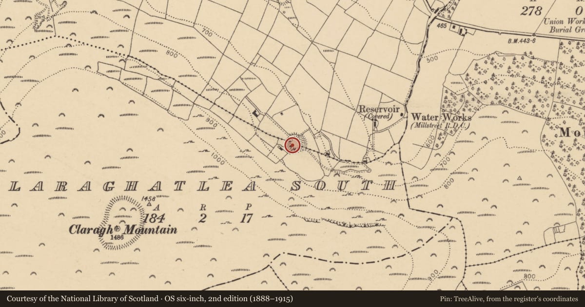 Ordnance Survey six-inch map, 2nd edition (1888–1915) covering the location of Souterrain, Claragh More, County Cork, with a pin at the register's coordinates