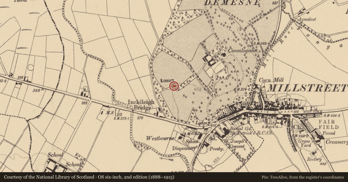 Ordnance Survey six-inch map, 2nd edition (1888–1915) covering the location of Souterrain, Coomlogane, County Cork, with a pin at the register's coordinates