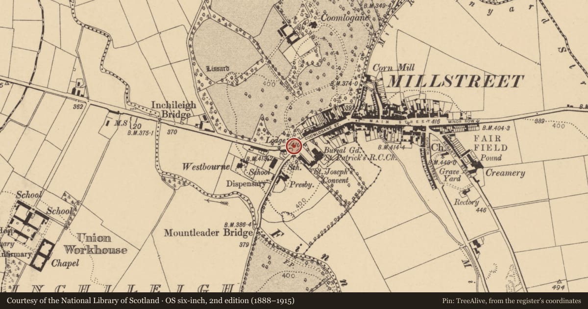Ordnance Survey six-inch map, 2nd edition (1888–1915) covering the location of Ringfort - rath, Coomlogane, County Cork, with a pin at the register's coordinates