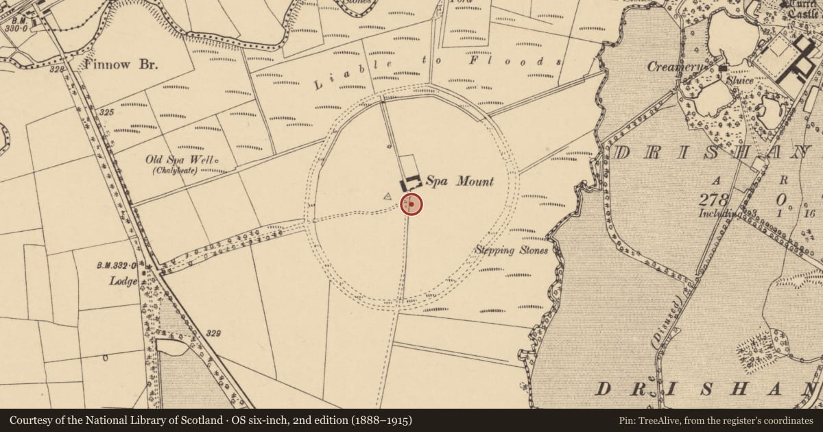 Ordnance Survey six-inch map, 2nd edition (1888–1915) covering the location of Racecourse, Coomlogane, County Cork, with a pin at the register's coordinates