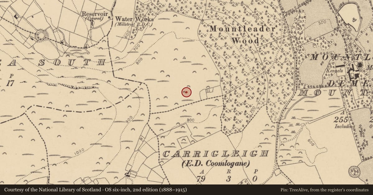Ordnance Survey six-inch map, 2nd edition (1888–1915) covering the location of Field system, Inchileigh, County Cork, with a pin at the register's coordinates