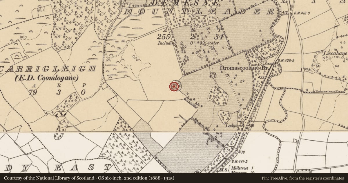 Ordnance Survey six-inch map, 2nd edition (1888–1915) covering the location of Ringfort - rath, Mountleader, County Cork, with a pin at the register's coordinates