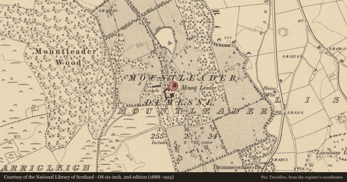 Ordnance Survey six-inch map, 2nd edition (1888–1915) covering the location of Country house, Mountleader, County Cork, with a pin at the register's coordinates
