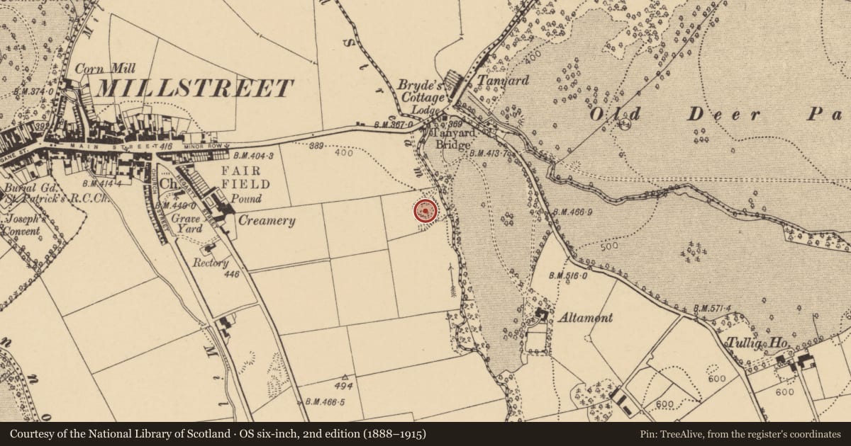 Ordnance Survey six-inch map, 2nd edition (1888–1915) covering the location of Quarry, Liscahane, County Cork, with a pin at the register's coordinates