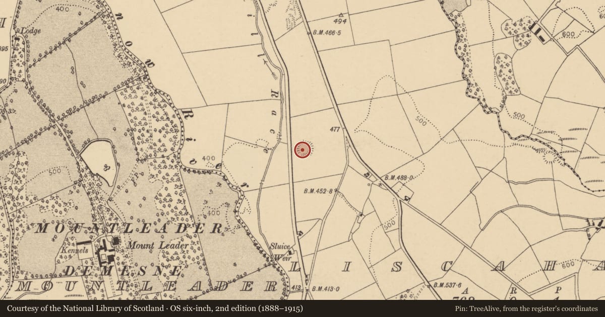 Ordnance Survey six-inch map, 2nd edition (1888–1915) covering the location of Ringfort - rath, Liscahane, County Cork, with a pin at the register's coordinates