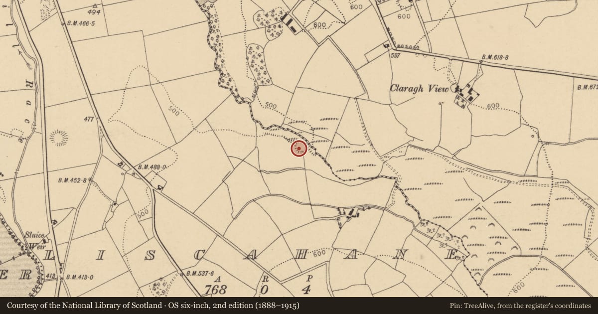 Ordnance Survey six-inch map, 2nd edition (1888–1915) covering the location of Ogham stone, Liscahane, County Cork, with a pin at the register's coordinates
