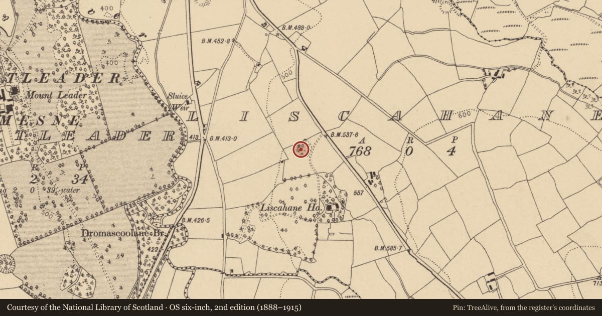 Ordnance Survey six-inch map, 2nd edition (1888–1915) covering the location of Souterrain, Liscahane, County Cork, with a pin at the register's coordinates