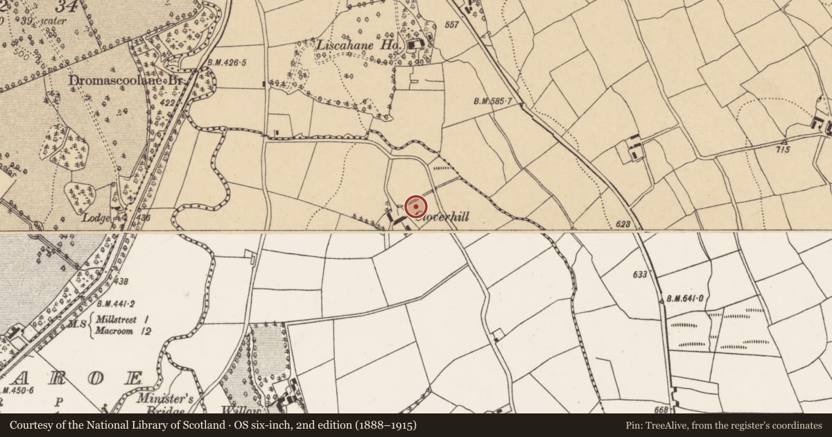 Ordnance Survey six-inch map, 2nd edition (1888–1915) covering the location of Standing stone, Cloghboola Beg, County Cork, with a pin at the register's coordinates