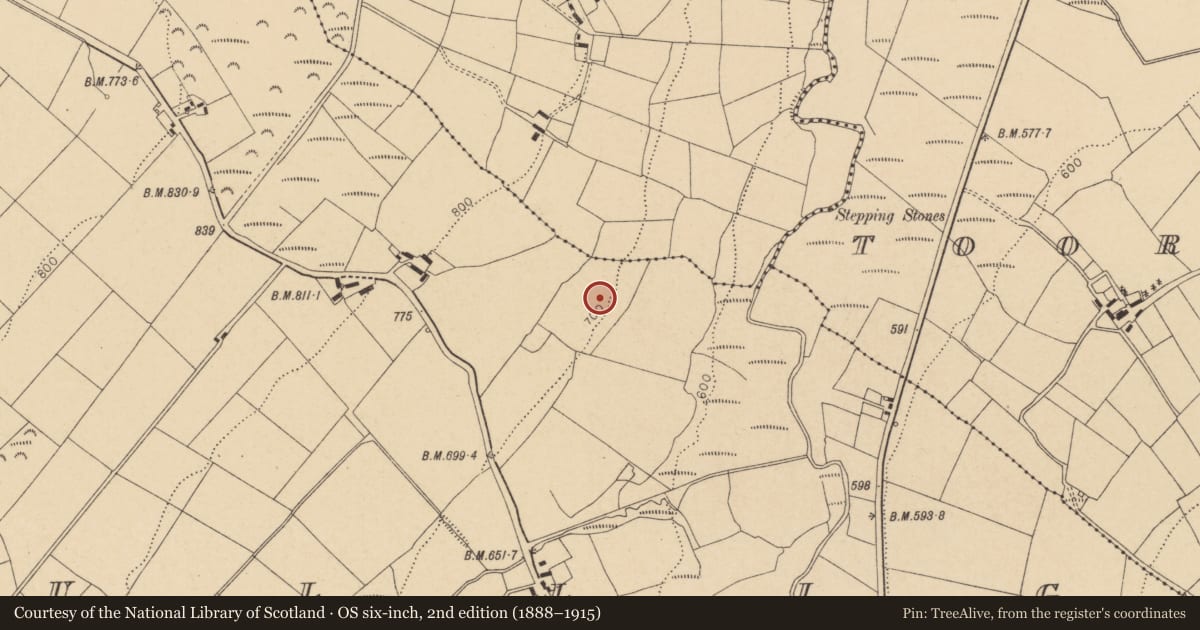Ordnance Survey six-inch map, 2nd edition (1888–1915) covering the location of Ringfort - rath, Tullig, County Cork, with a pin at the register's coordinates