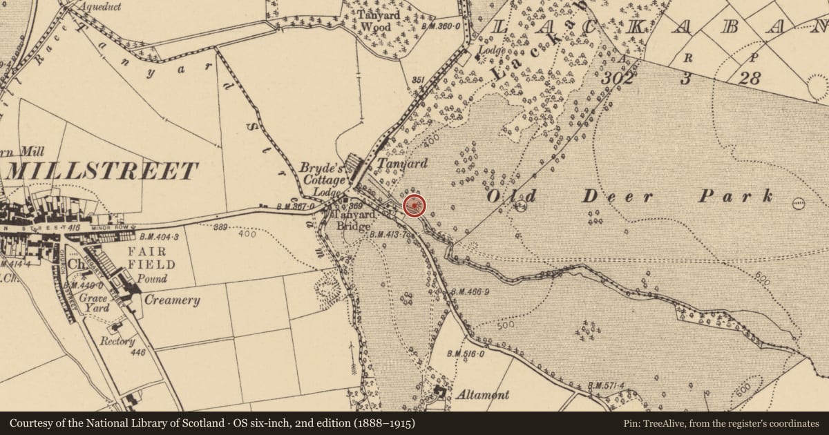 Ordnance Survey six-inch map, 2nd edition (1888–1915) covering the location of Ringfort - rath, Lackabane, County Cork, with a pin at the register's coordinates