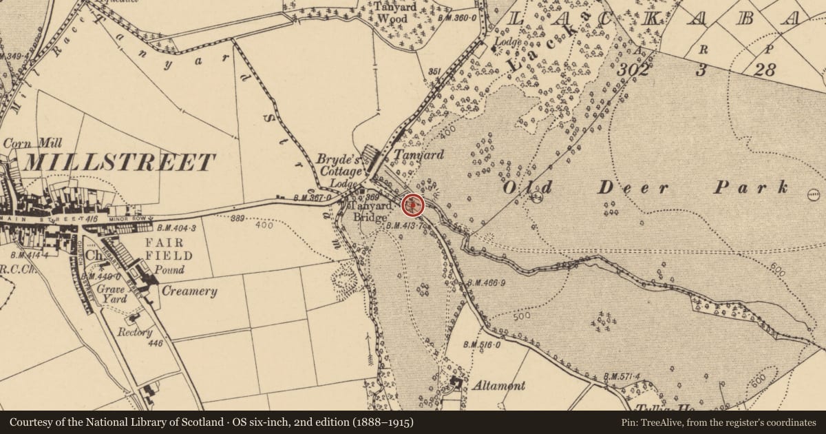Ordnance Survey six-inch map, 2nd edition (1888–1915) covering the location of Kiln - lime, Tullig, County Cork, with a pin at the register's coordinates