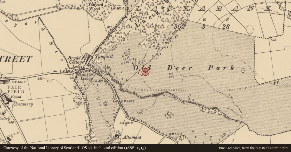Ordnance Survey six-inch map, 2nd edition (1888–1915) covering the location of Enclosure, Lackabane, County Cork, with a pin at the register's coordinates
