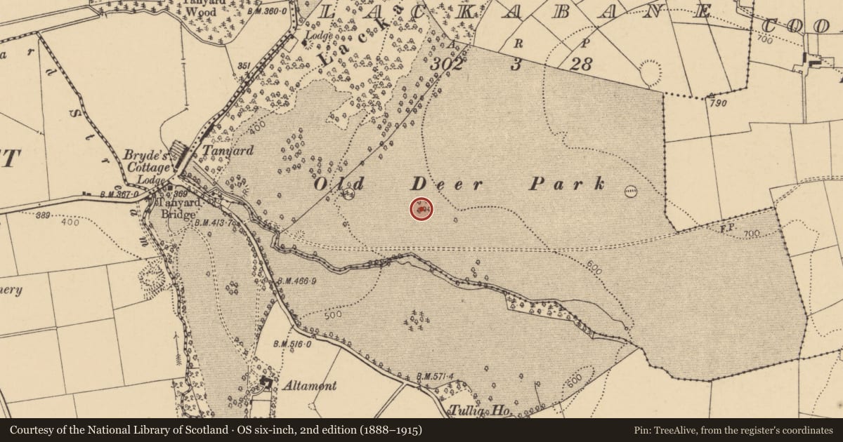 Ordnance Survey six-inch map, 2nd edition (1888–1915) covering the location of Enclosure, Lackabane, County Cork, with a pin at the register's coordinates