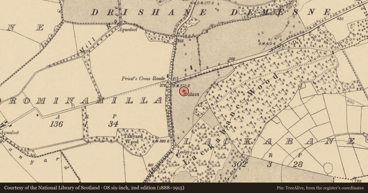 Ordnance Survey six-inch map, 2nd edition (1888–1915) covering the location of Standing stone, Lackabane, County Cork, with a pin at the register's coordinates