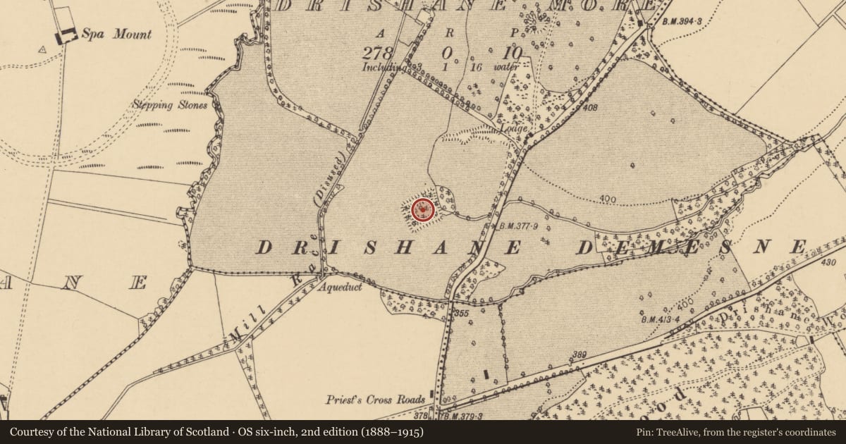 Ordnance Survey six-inch map, 2nd edition (1888–1915) covering the location of Moated site, Drishane More, County Cork, with a pin at the register's coordinates