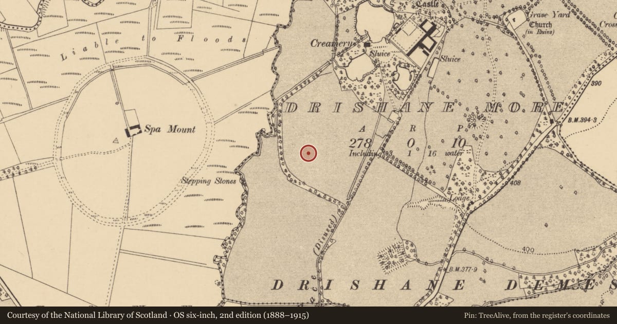 Ordnance Survey six-inch map, 2nd edition (1888–1915) covering the location of Enclosure, Drishane More, County Cork, with a pin at the register's coordinates