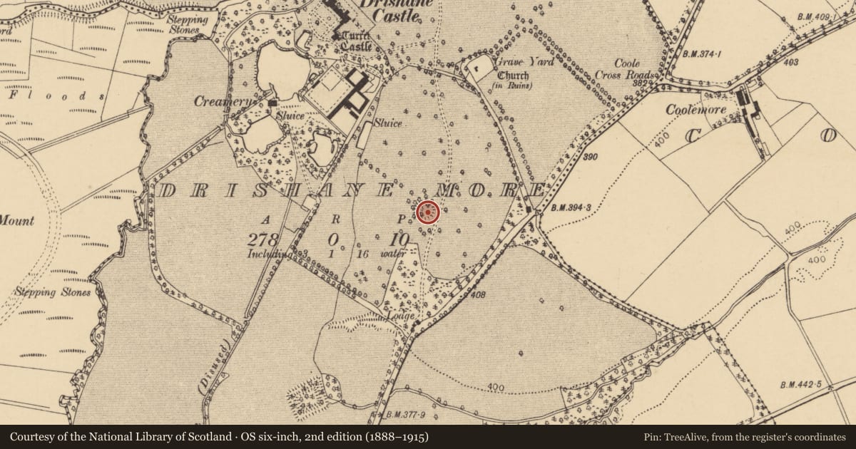 Ordnance Survey six-inch map, 2nd edition (1888–1915) covering the location of Ringfort - rath, Drishane More, County Cork, with a pin at the register's coordinates