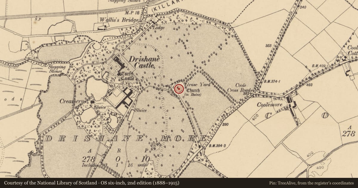 Ordnance Survey six-inch map, 2nd edition (1888–1915) covering the location of Church, Drishane More, County Cork, with a pin at the register's coordinates