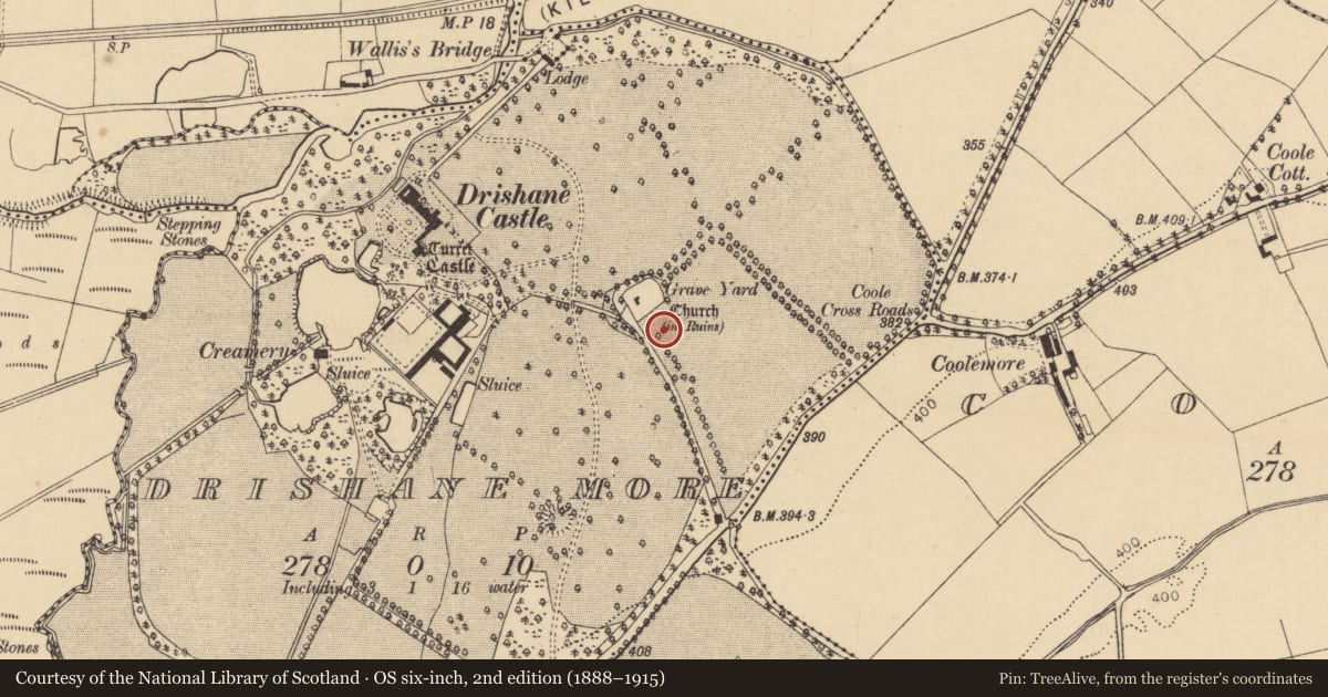 Ordnance Survey six-inch map, 2nd edition (1888–1915) covering the location of Graveyard, Drishane More, County Cork, with a pin at the register's coordinates