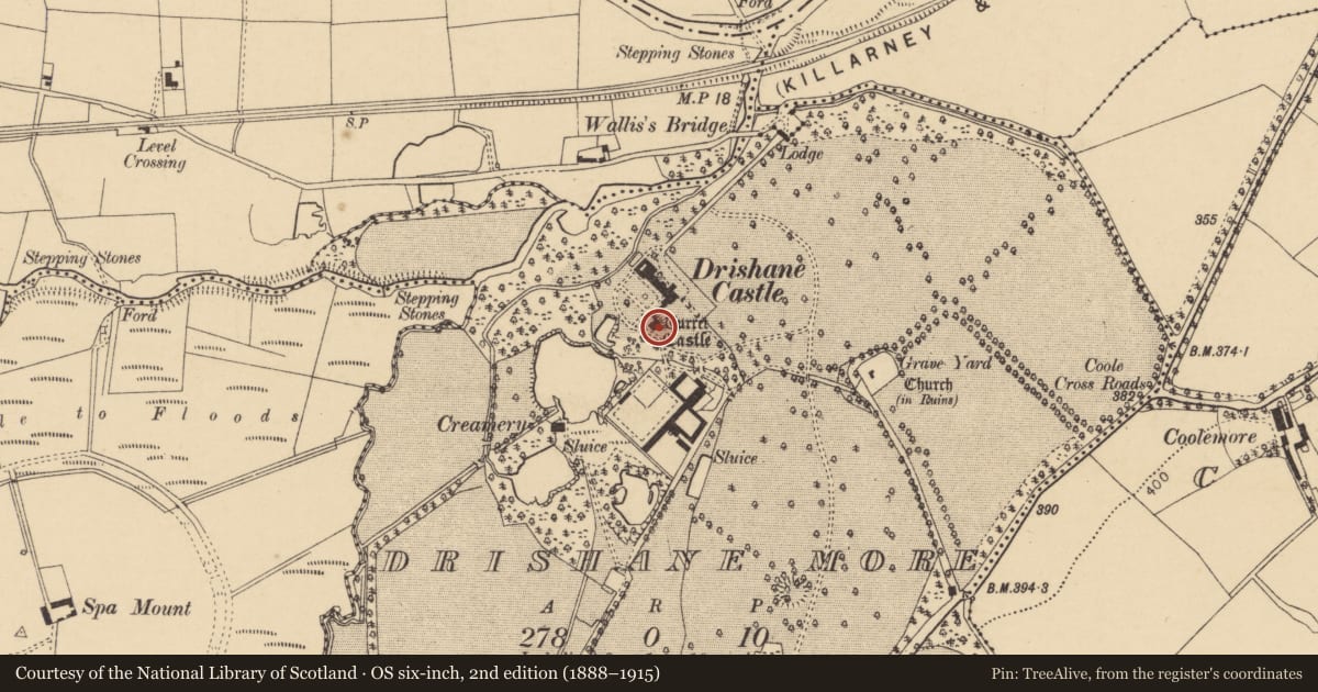 Ordnance Survey six-inch map, 2nd edition (1888–1915) covering the location of Castle - tower house, Drishane More, County Cork, with a pin at the register's coordinates
