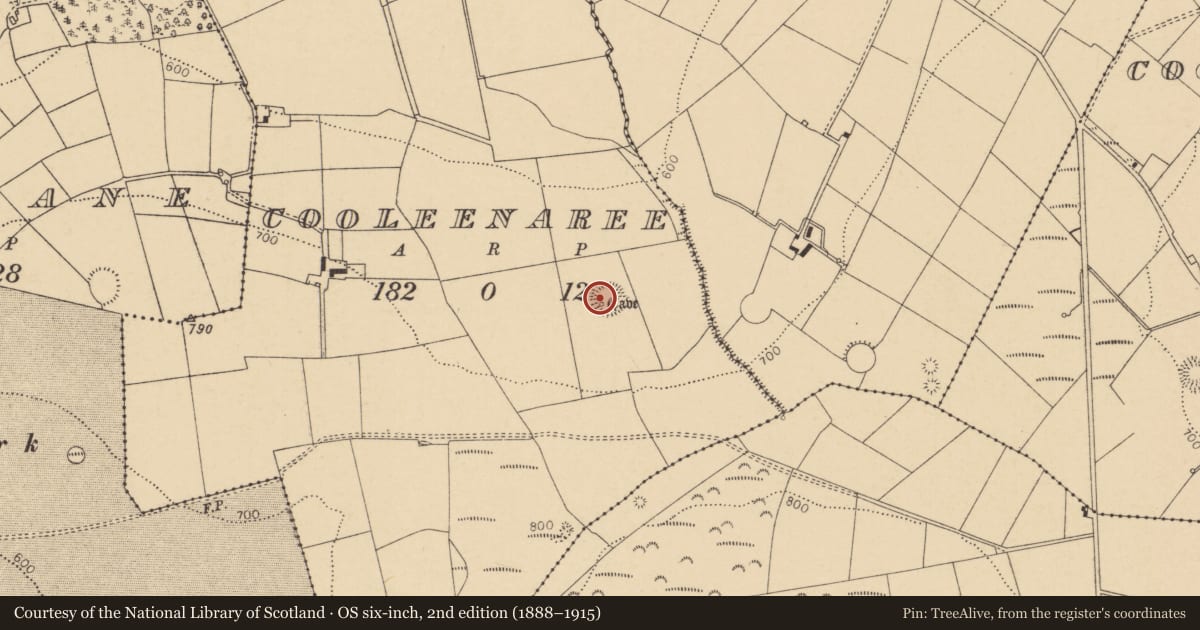 Ordnance Survey six-inch map, 2nd edition (1888–1915) covering the location of Ringfort - rath, Cooleenaree, County Cork, with a pin at the register's coordinates