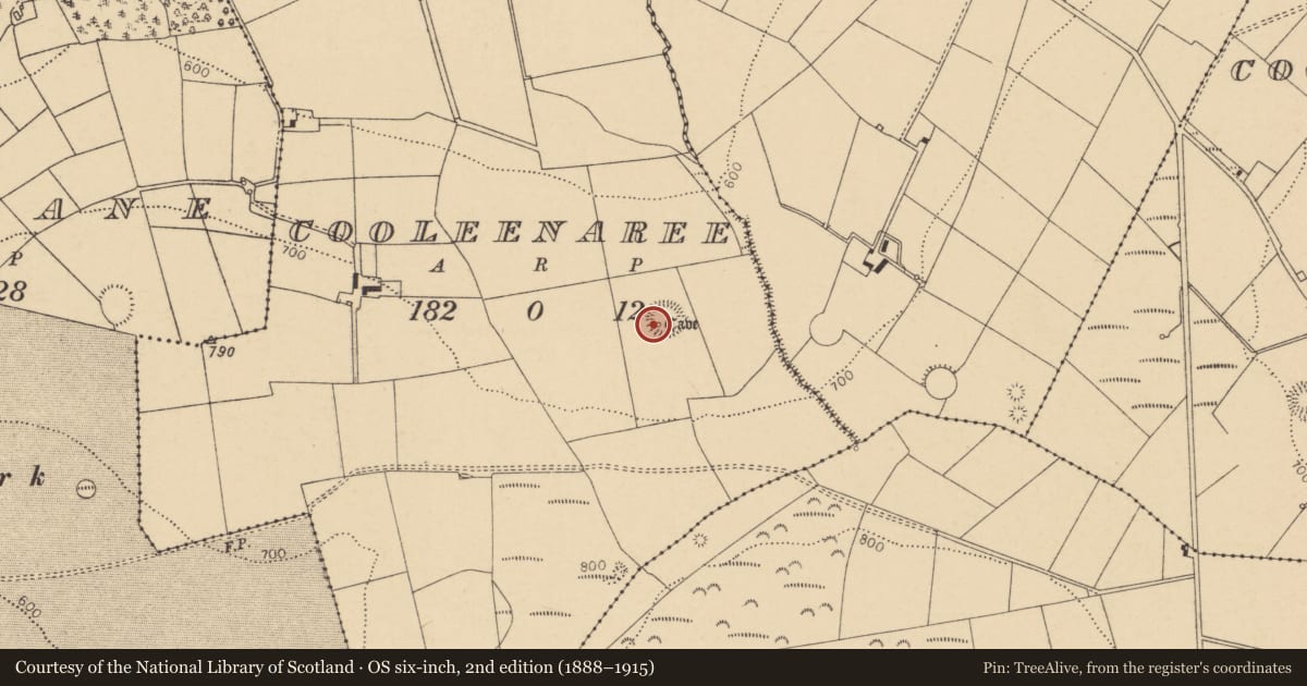 Ordnance Survey six-inch map, 2nd edition (1888–1915) covering the location of Souterrain, Cooleenaree, County Cork, with a pin at the register's coordinates
