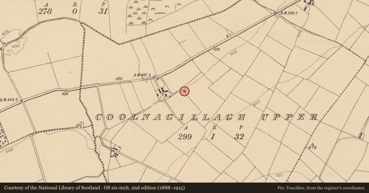 Ordnance Survey six-inch map, 2nd edition (1888–1915) covering the location of Kiln - lime, Coolnagillagh Upper, County Cork, with a pin at the register's coordinates