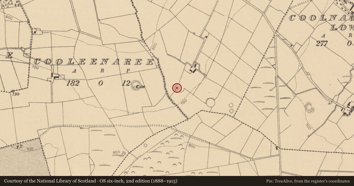 Ordnance Survey six-inch map, 2nd edition (1888–1915) covering the location of Ringfort - rath, Coolnagillagh Upper, County Cork, with a pin at the register's coordinates