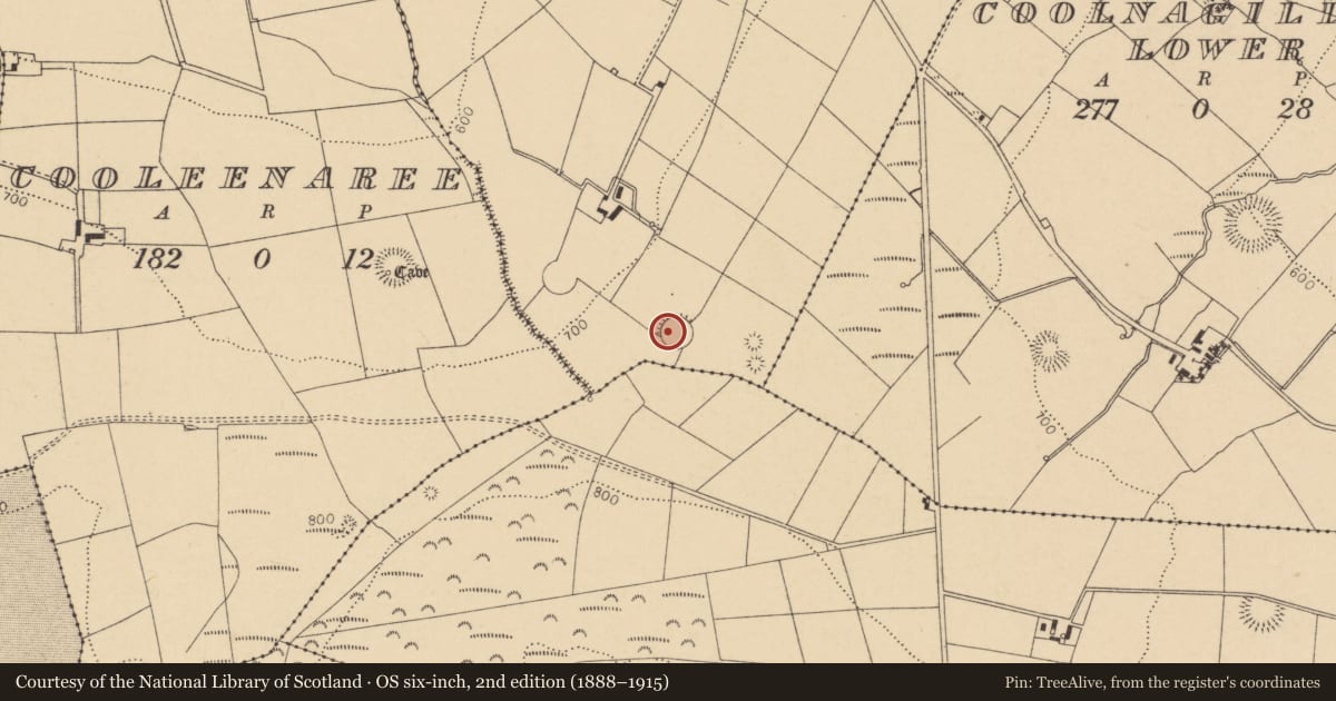 Ordnance Survey six-inch map, 2nd edition (1888–1915) covering the location of Ringfort - rath, Coolnagillagh Upper, County Cork, with a pin at the register's coordinates