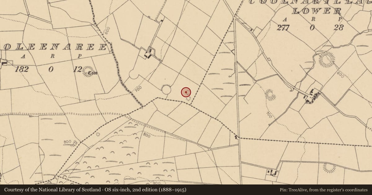 Ordnance Survey six-inch map, 2nd edition (1888–1915) covering the location of Barrow - ring-barrow, Coolnagillagh Upper, County Cork, with a pin at the register's coordinates