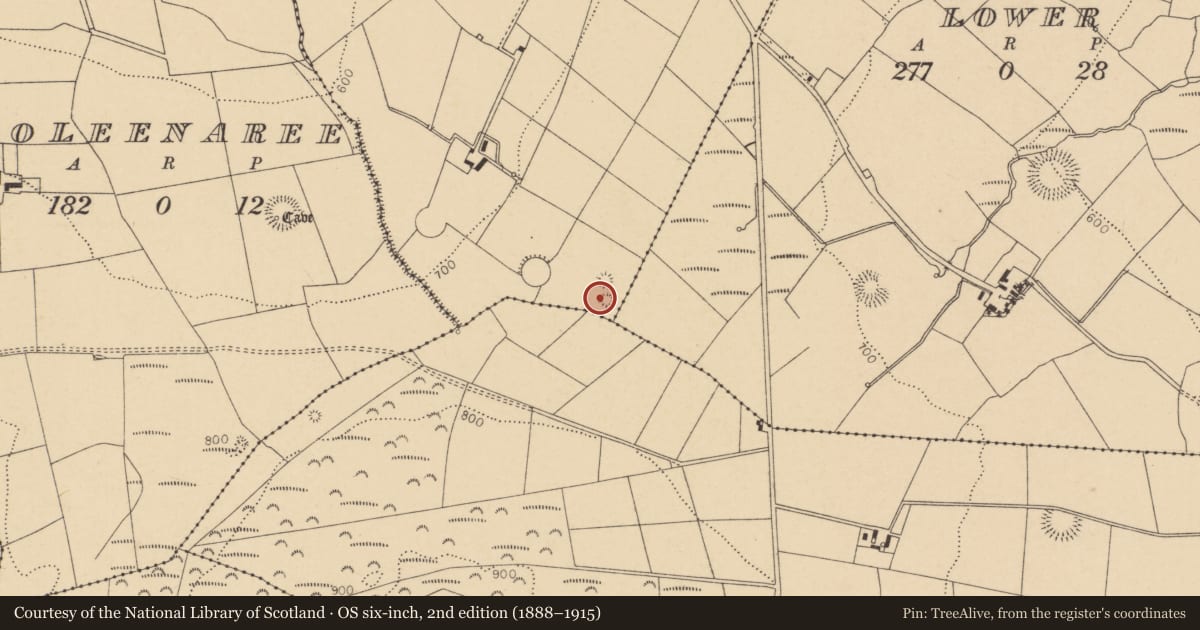 Ordnance Survey six-inch map, 2nd edition (1888–1915) covering the location of Barrow - ring-barrow, Coolnagillagh Upper, County Cork, with a pin at the register's coordinates