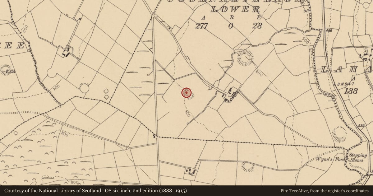Ordnance Survey six-inch map, 2nd edition (1888–1915) covering the location of Ringfort - rath, Coolnagillagh Lower, County Cork, with a pin at the register's coordinates