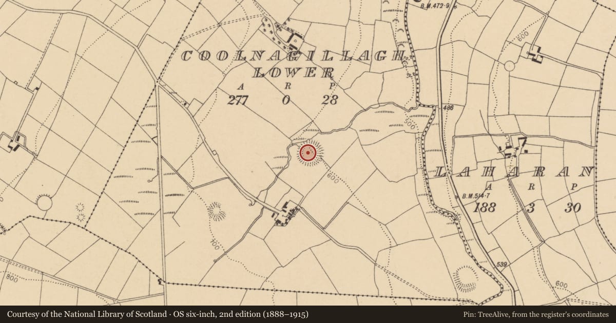 Ordnance Survey six-inch map, 2nd edition (1888–1915) covering the location of Ringfort - rath, Coolnagillagh Lower, County Cork, with a pin at the register's coordinates