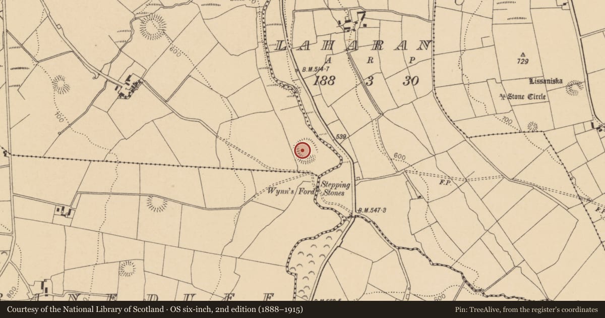 Ordnance Survey six-inch map, 2nd edition (1888–1915) covering the location of Ringfort - rath, Coolnagillagh Lower, County Cork, with a pin at the register's coordinates