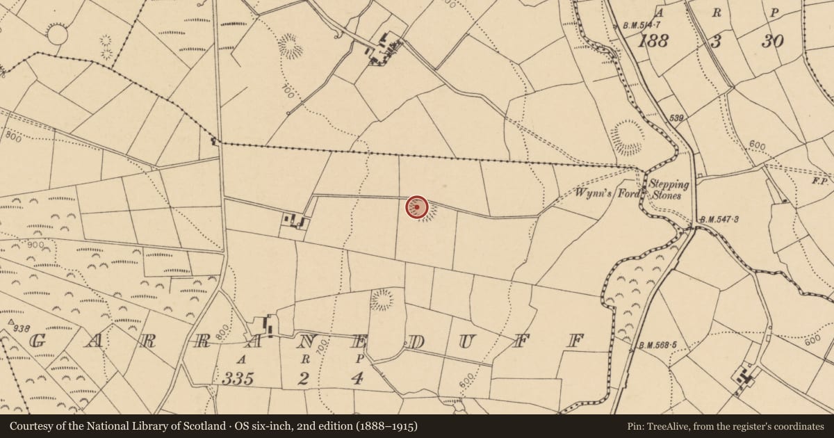 Ordnance Survey six-inch map, 2nd edition (1888–1915) covering the location of Ringfort - rath, Garraneduff, County Cork, with a pin at the register's coordinates