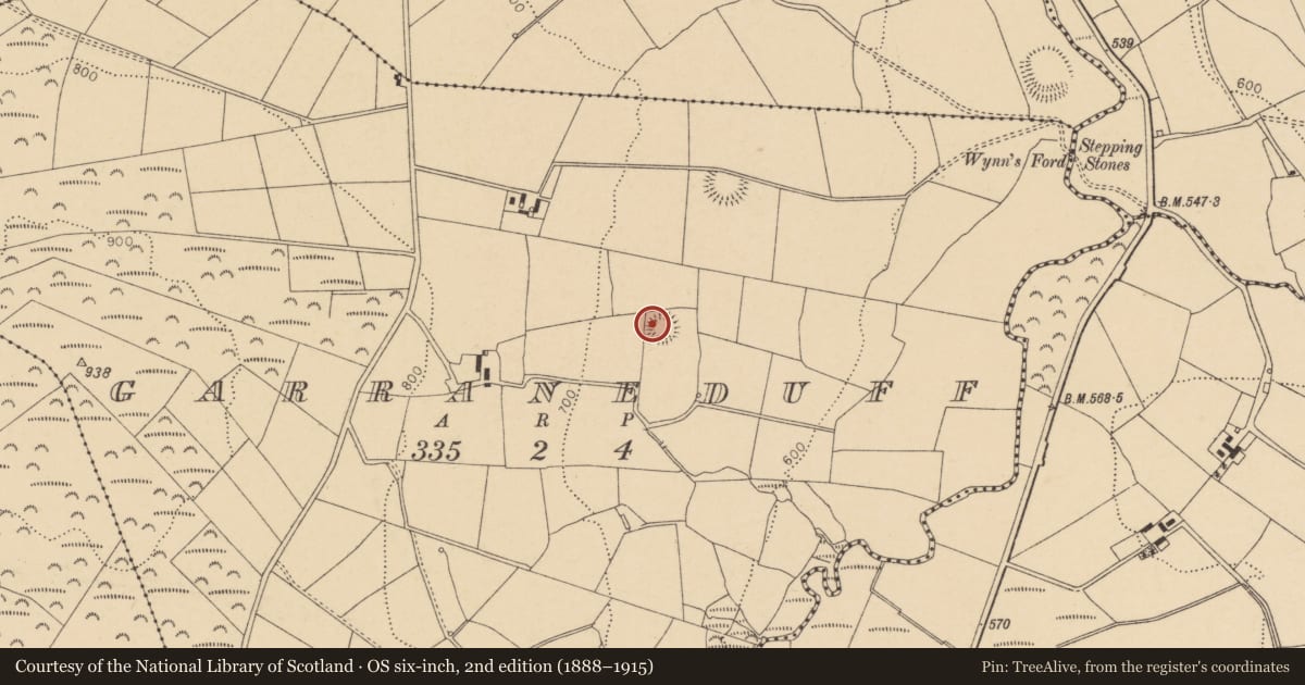 Ordnance Survey six-inch map, 2nd edition (1888–1915) covering the location of Ringfort - rath, Garraneduff, County Cork, with a pin at the register's coordinates