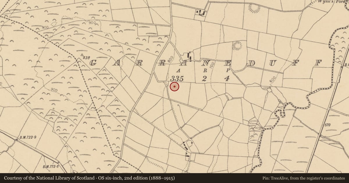Ordnance Survey six-inch map, 2nd edition (1888–1915) covering the location of Fulacht fia, Garraneduff, County Cork, with a pin at the register's coordinates