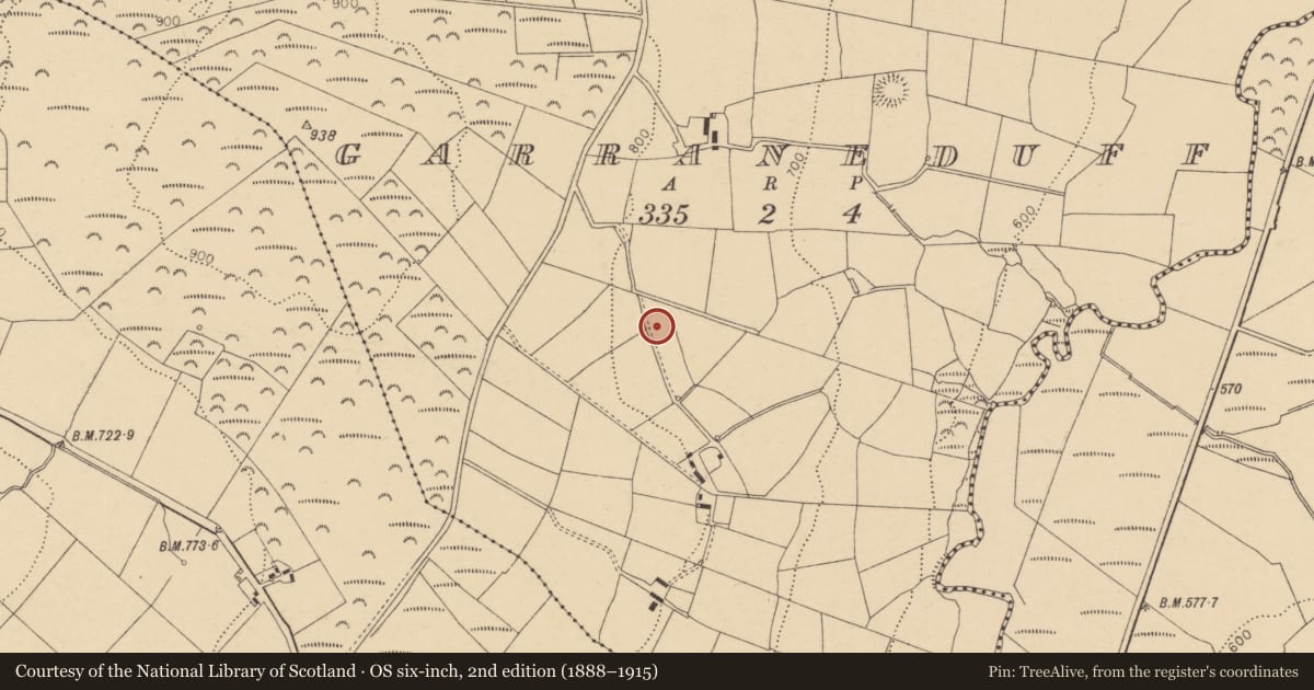 Ordnance Survey six-inch map, 2nd edition (1888–1915) covering the location of Fulacht fia, Garraneduff, County Cork, with a pin at the register's coordinates