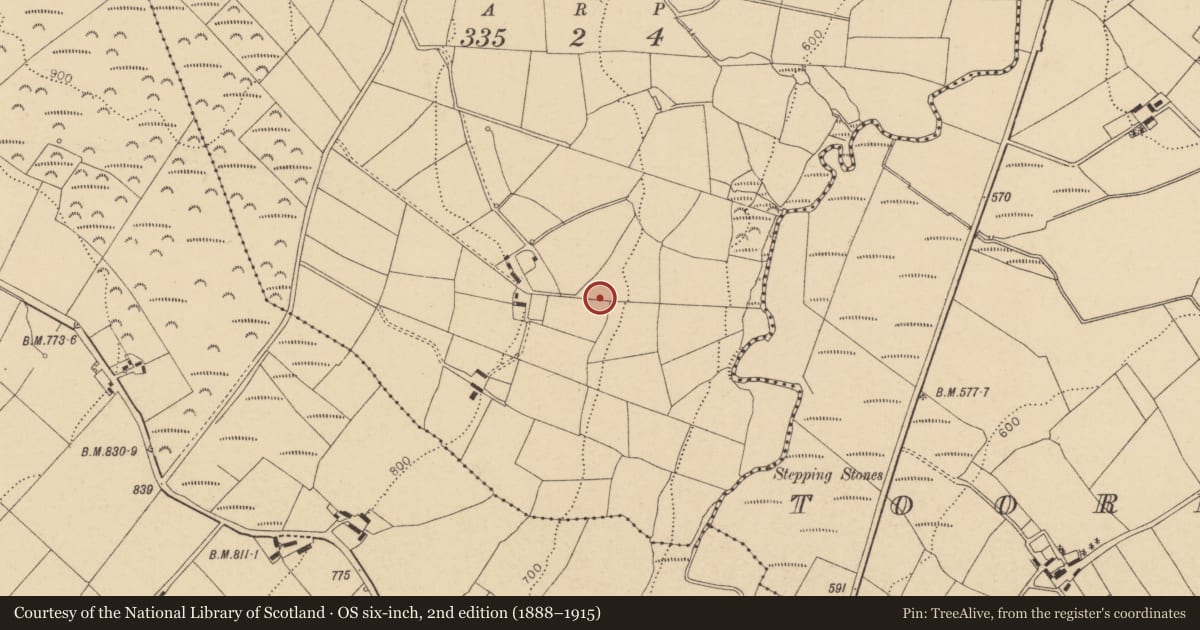 Ordnance Survey six-inch map, 2nd edition (1888–1915) covering the location of Ringfort - rath, Garraneduff, County Cork, with a pin at the register's coordinates