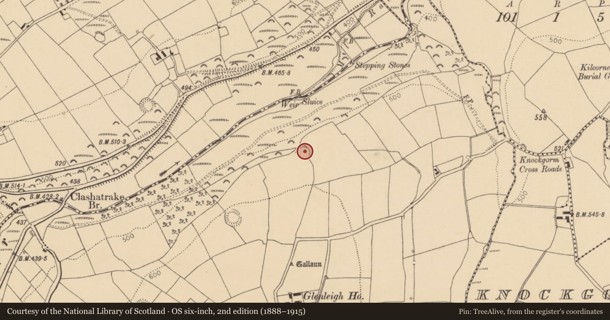 Ordnance Survey six-inch map, 2nd edition (1888–1915) covering the location of Ringfort - rath, Glenleigh, County Cork, with a pin at the register's coordinates