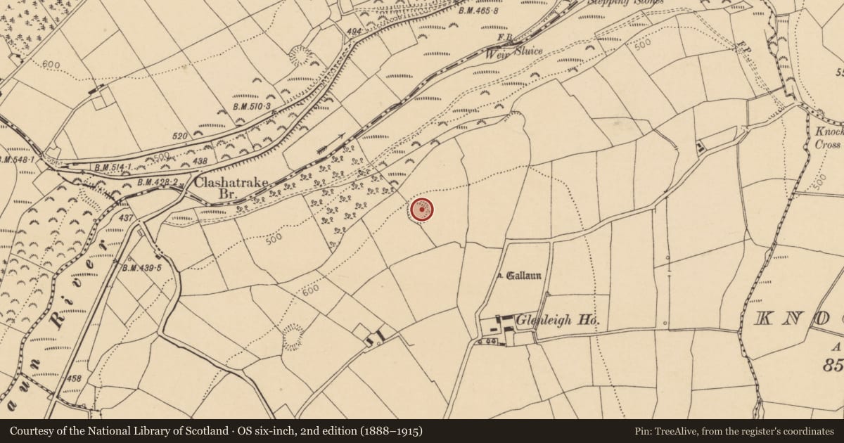 Ordnance Survey six-inch map, 2nd edition (1888–1915) covering the location of Ringfort - rath, Glenleigh, County Cork, with a pin at the register's coordinates