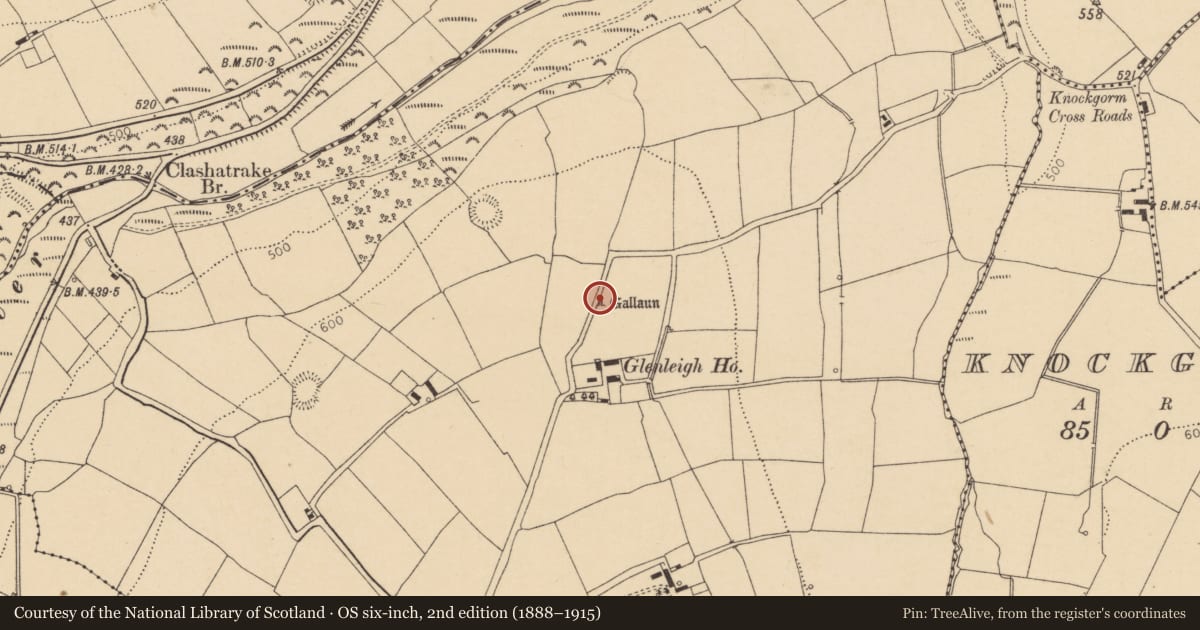 Ordnance Survey six-inch map, 2nd edition (1888–1915) covering the location of Standing stone, Glenleigh, County Cork, with a pin at the register's coordinates