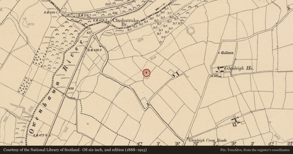 Ordnance Survey six-inch map, 2nd edition (1888–1915) covering the location of Ringfort - rath, Glenleigh, County Cork, with a pin at the register's coordinates