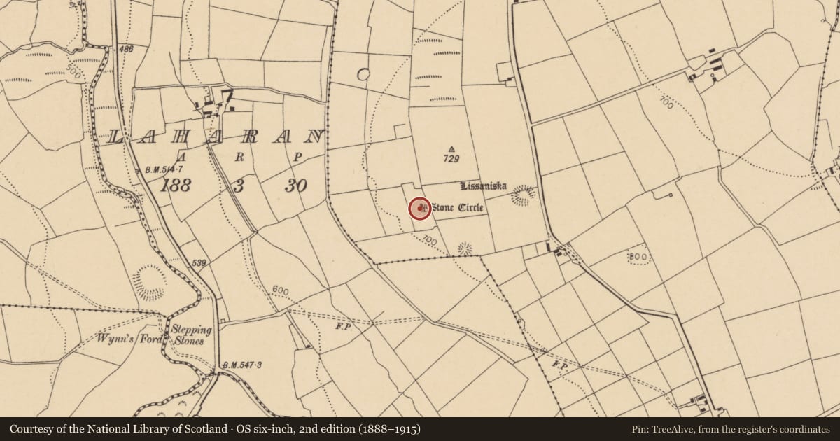 Ordnance Survey six-inch map, 2nd edition (1888–1915) covering the location of Stone circle - five-stone, Glenleigh, County Cork, with a pin at the register's coordinates