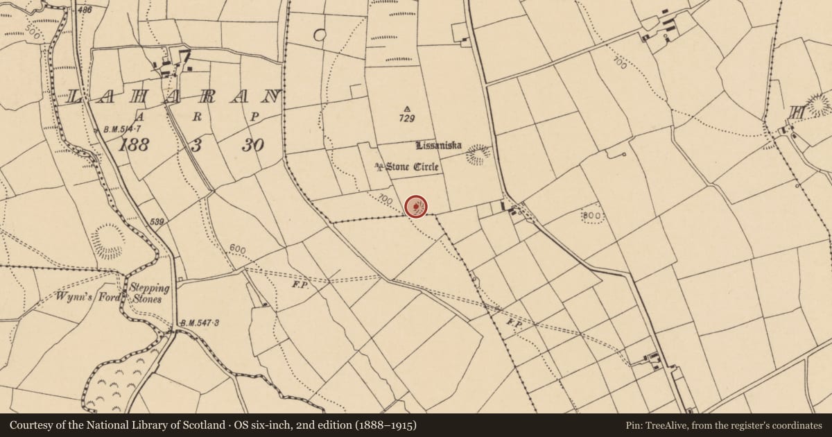 Ordnance Survey six-inch map, 2nd edition (1888–1915) covering the location of Barrow - ring-barrow, Glenleigh, County Cork, with a pin at the register's coordinates