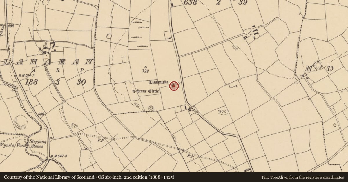 Ordnance Survey six-inch map, 2nd edition (1888–1915) covering the location of Ringfort - rath, Glenleigh, County Cork, with a pin at the register's coordinates