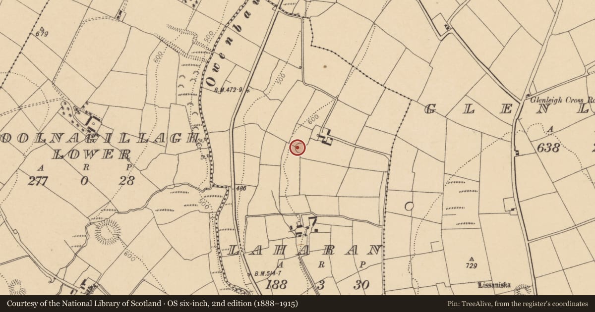 Ordnance Survey six-inch map, 2nd edition (1888–1915) covering the location of Ringfort - rath, Laharan, County Cork, with a pin at the register's coordinates