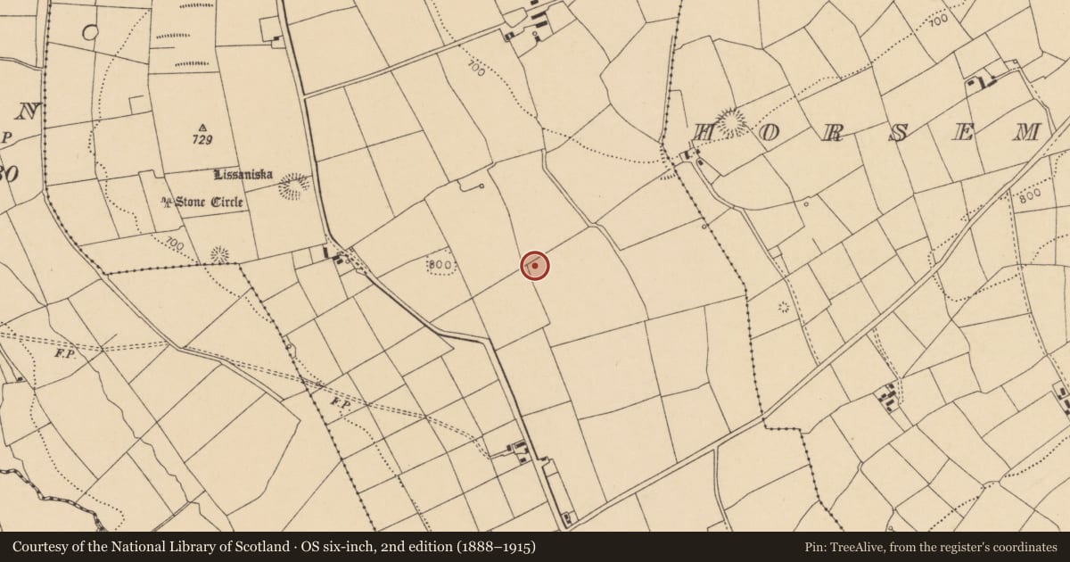Ordnance Survey six-inch map, 2nd edition (1888–1915) covering the location of Standing stone - pair, Glenleigh, County Cork, with a pin at the register's coordinates